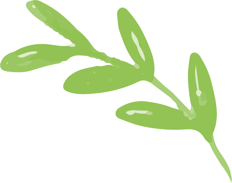 leaves free img